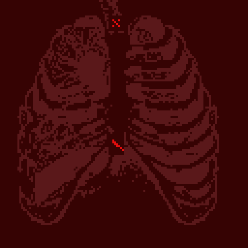 ribs_gif.gif
