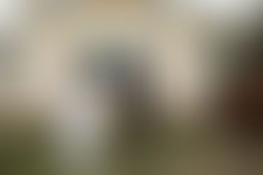 A CASUAL BACKYARD WEDDING IN COLORADO SPRINGS