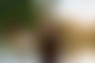 WASHINGTON PARK BOATHOUSE WEDDING IN DENVER