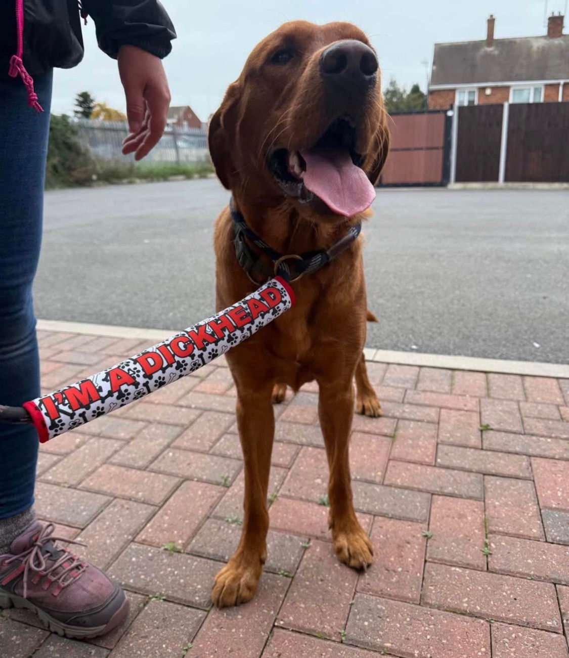 Fun dog lead covers. Can be personalised