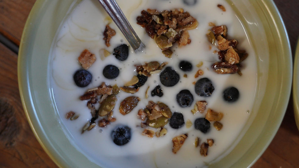 a close-up of yogurt bowl with blueberries and sprouted nut sand seed granola