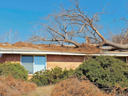 Home with significant storm damage and fallen tree requiring major repairs