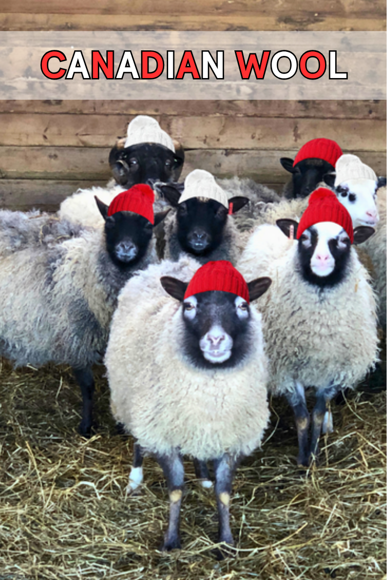 Canadian Postcard front