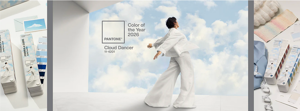 Culorile Anului 2026: Între Serenitate Absolută și Eleganță Întunecată