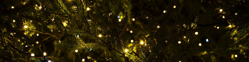 Weihnachtsdekoration bestellen