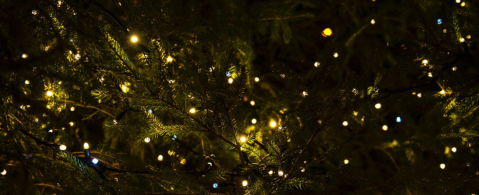 Christmas Lights