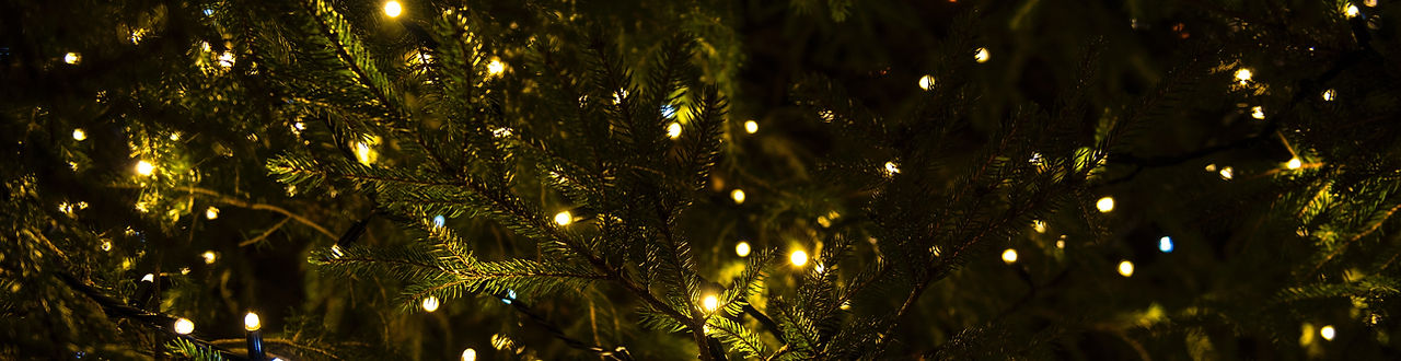 Christmas Lights