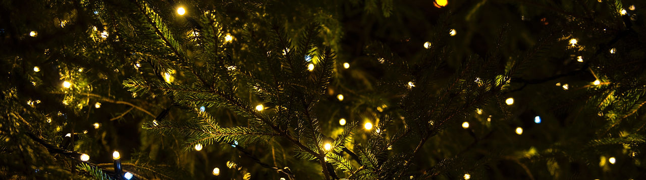 Christmas Lights
