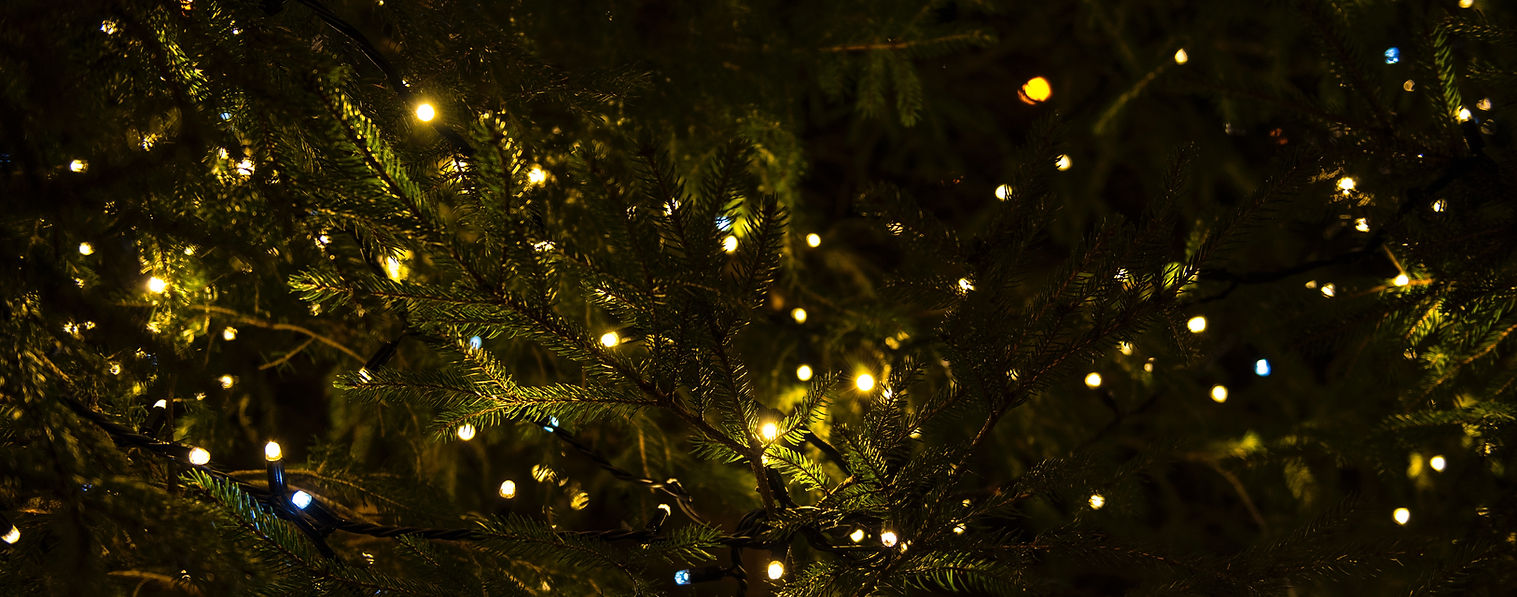 Festive Tree Lights