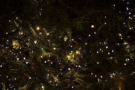 Christmas Lights