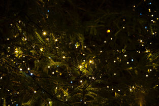 Christmas Closure Dates