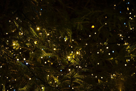 Festive Tree Lights