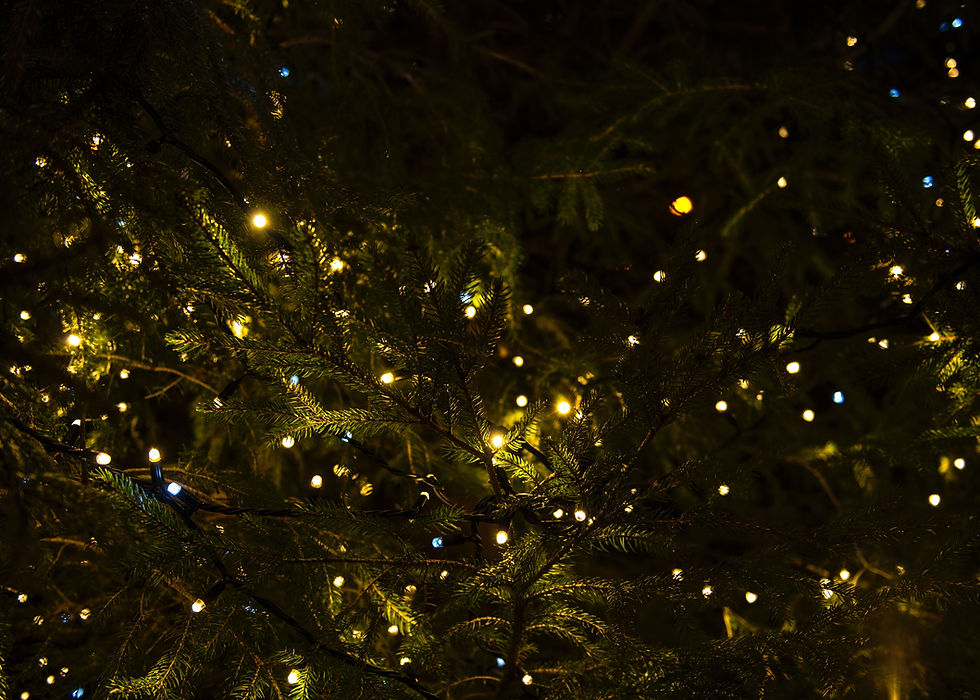 Christmas Lights