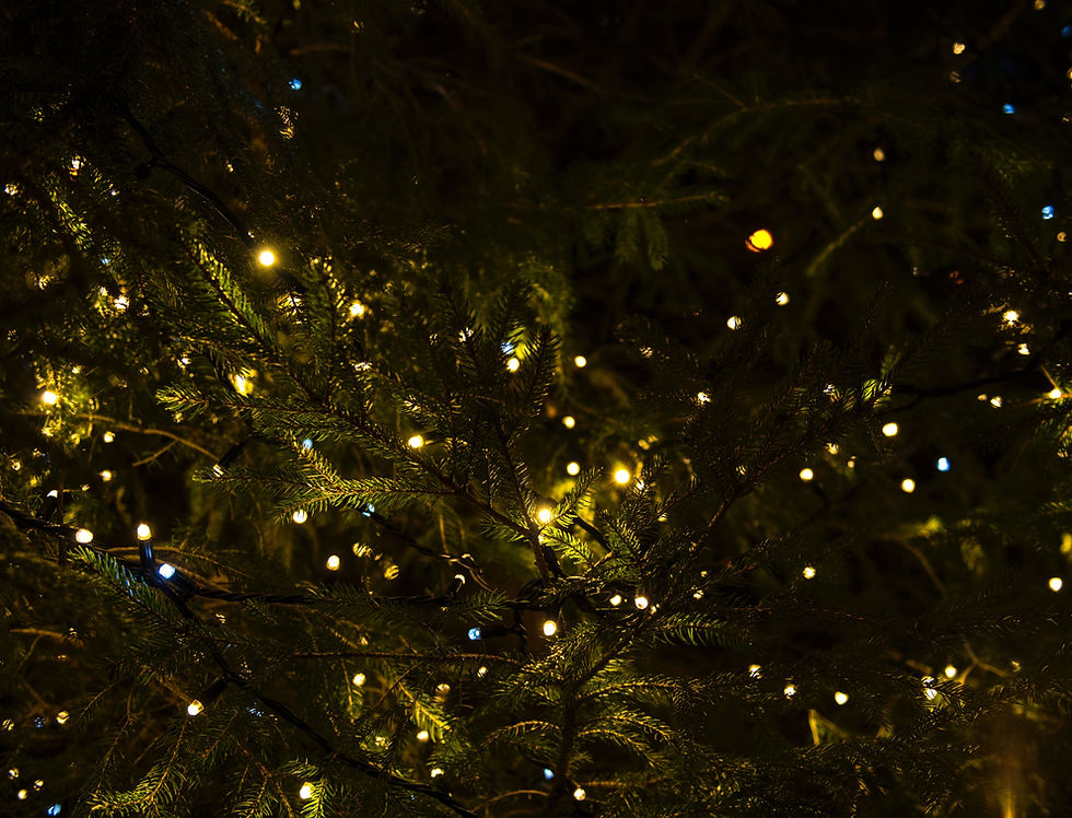 Christmas Lights