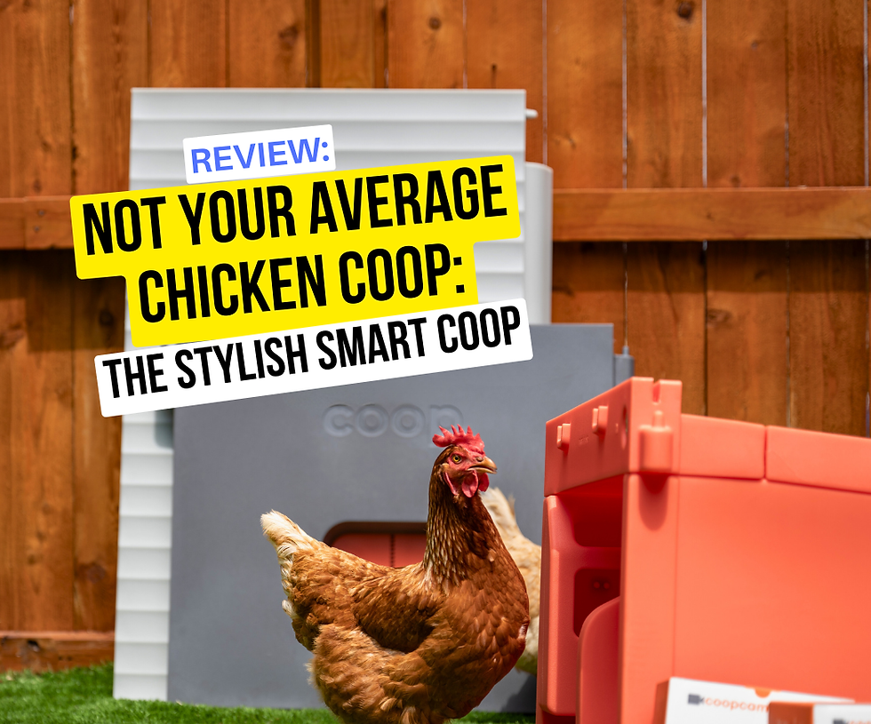 smart coop reviews video