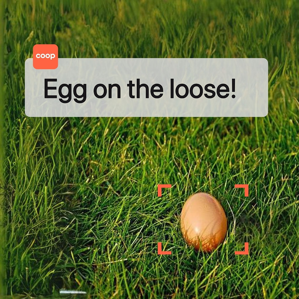 Copy of amazon kit  (1200 x 628 px)-6.jpg