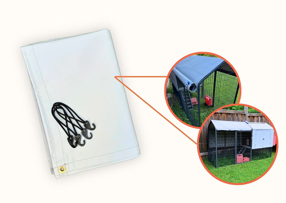 new (Facebook Post).jpg