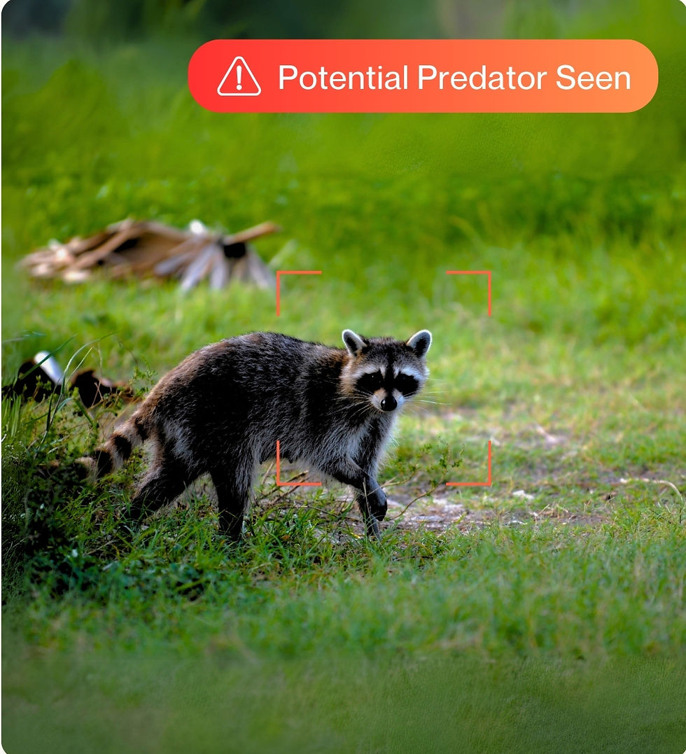 Orange Minimal Featured Product Tech eCommerce Instagram Post (1080 x 1300 px)-2_edited.jp