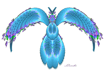 Flying Peacock.gif
