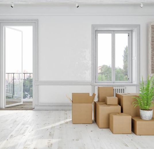 Move-in Cleaning.jpeg