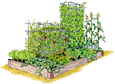 Gardeners.com-Fun-for-Kids-Garden 3.gif