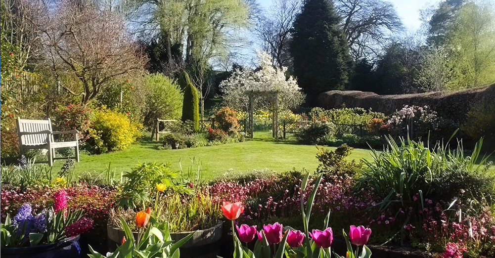 Maratt Lawn & Garden project photo