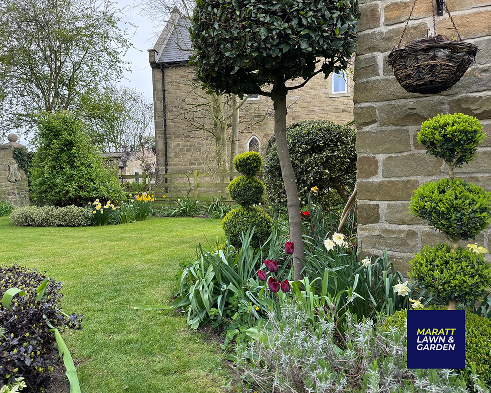 Why the Best Gardens Are Booked In Before Spring Starts