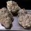Thumbnail: TROPICAL ZKITTLEZ 4GRAMS 🏝️SUMMER SALE🏝️🔥31%THC INDICA