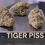 Thumbnail: TIGER PISS 3.5g HYBRID 36%THC EXOTIC +++ 🏆🏆