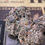 Thumbnail: Variety Pack 10.5grams EXOTICS ON SALE🔥 NEW!!/BlackTrufleRuntz/BLueCandyGelato/