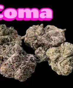 COMA 28grams OZ EXOTICS SALE (Jungle Boys Loose) INDICA 37%THC LIMITED BATCH 🔥