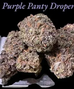 PURPLE PANTY DROPPER 4GRAM 🏝️SUMMER SALE 🏝️🔥 31%THC INDICA