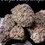 Thumbnail: PURPLE PANTY DROPPER 4GRAM 🏝️SUMMER SALE 🏝️🔥 31%THC INDICA