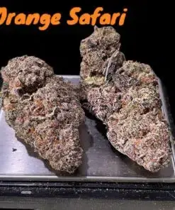 ORANGE SAFARI 3.5g SATIVA 32%THC