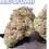Thumbnail: NINO BROWN 3.5grams 35%THC EXOTICS 🎉BLACK FRIDAY SALE🎉