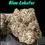 Thumbnail: BLUE LOBSTER 28g ( Maine Trees) HYBRID EXOTIC ON SALE 37%THC MEMORIAL DAY SALE