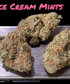 ICE CREAM MINTS 4GRAMS 🏝️🔥 SUMMER SALE 🏝️🔥INDICA 31%THC