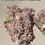 Thumbnail: PURPLE PANTY DROPPER 4GRAM 🏝️SUMMER SALE 🏝️🔥 31%THC INDICA