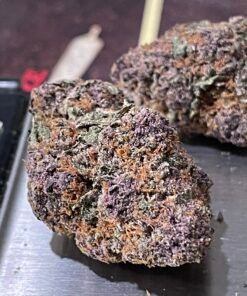 PURPLE HAZE 3.5g SATIVA SMALL BATCH 🔥🔥