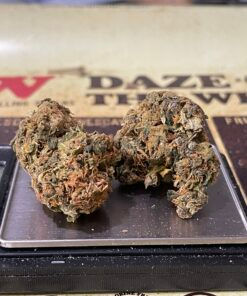 LEMON HAZE 28g OZ SATIVA ON SALE