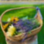 FRESH SEASONAL LAVENDER AND FLOWER BUNDLE