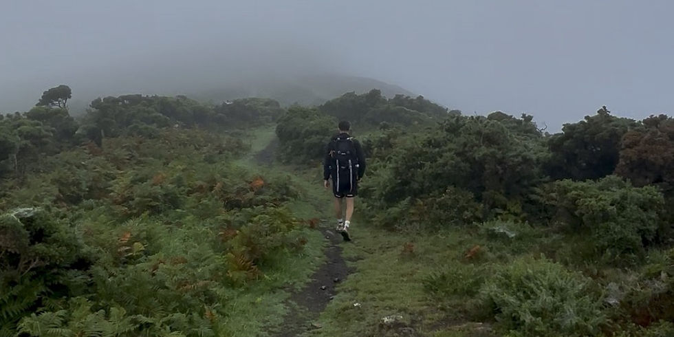 Walk 37: Porthgain to Pwll Deri