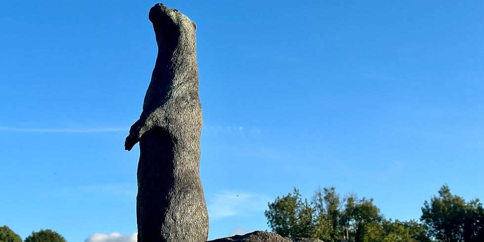 Teifi Otter Statue