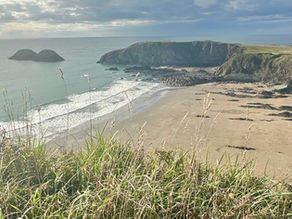 Walk 36: Whitesands Bay to Porthgain