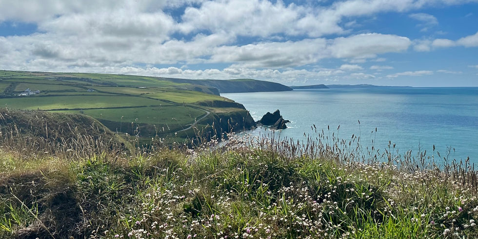 Pembrokeshire Coast Path near Cardigan