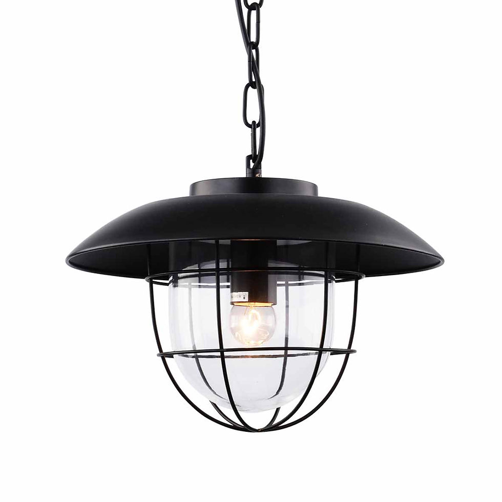 PL9-088 Carpum โคมลอฟต์