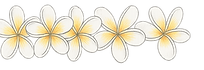 Plumeria lei banner