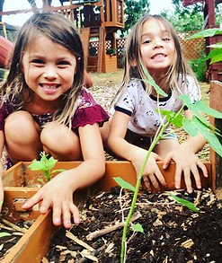Children at Ka Hana Pono Preschool caring for plants and learning through nature-based play.
