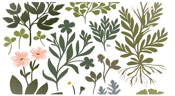 Capture d’écran 2026-01-19 à 18.58_edite