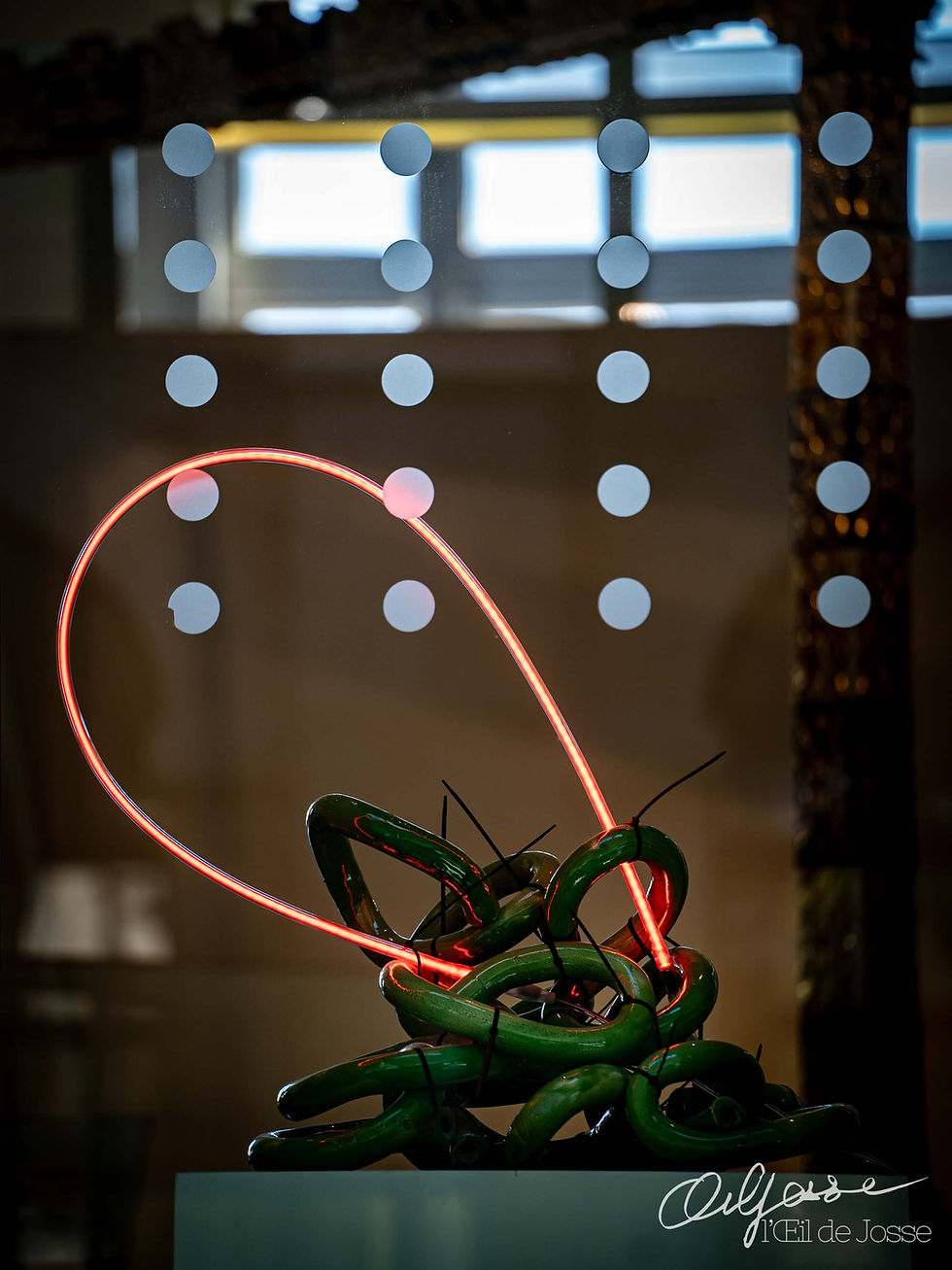 Langue de grenouille.